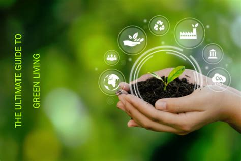 Sustainable Lifestyle: The Complete Guide To A Greener Life.